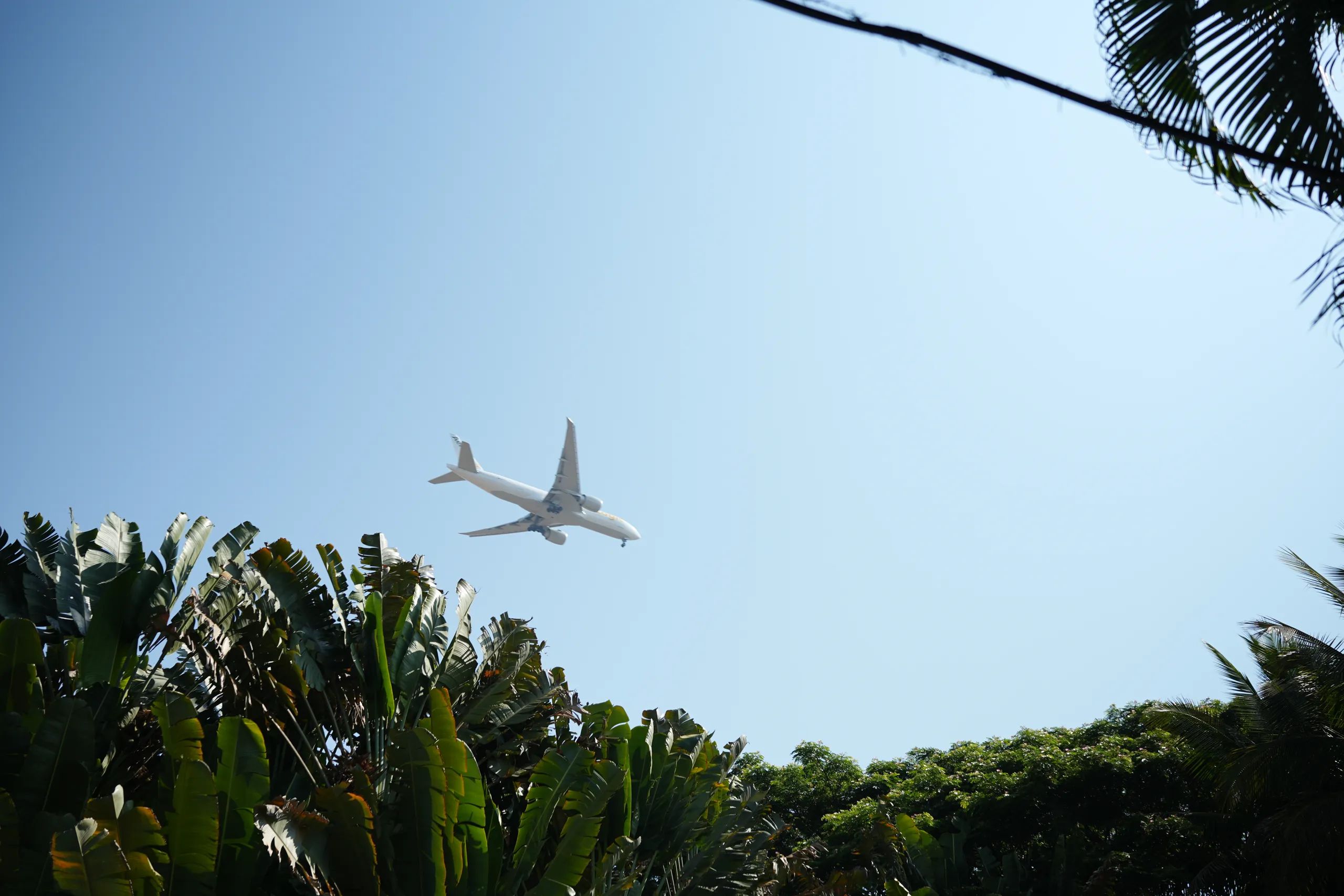 Things to Do Near Bangalore Airport on a Layover